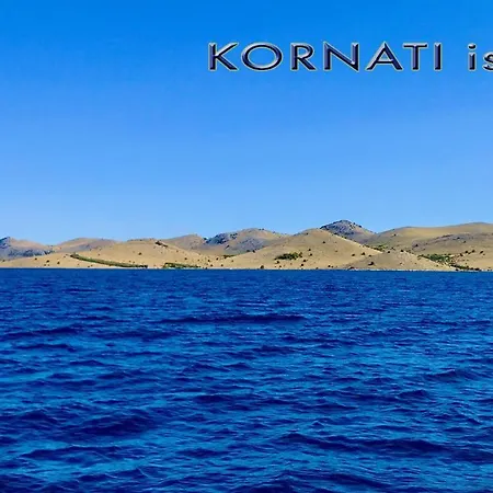 アパート - Kornati - De 40 M2 Avec Piscine Pakoštane