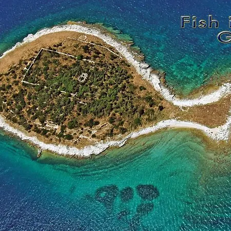 - Kornati - De 40 M2 Avec Piscine Apartmán *